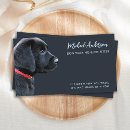 Recherche de labrador noir cartes visite Amoureux des chiens