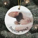Recherche de minou blanc Noir et blanc