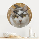 Recherche de chat moderne horloges Famille