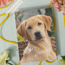 Recherche de humour de chien vœux cartes Pour lui