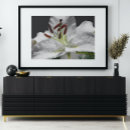 Recherche de elegante posters Botanique
