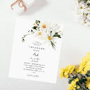 Recherche de paquerettes Marguerite