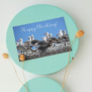 Recherche de mouette anniversaire cartes Animaux