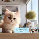 Recherche de chat porte noms Amoureux des chats