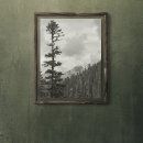 Recherche de ciel sombre art Arbres