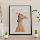 Recherche de greyhound posters Chien