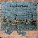 Recherche de oies puzzles Lac