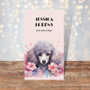 Recherche de grooming cartes visite Caniche