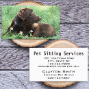 Recherche de labrador retriever cartes visite Marcheur de chiens