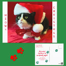 Recherche de chat smoking vœux cartes Humour