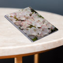 Recherche de rhododendron rose Floral