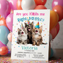 Recherche de de chaton invitations Pour tous