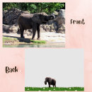 Recherche de pachydermes vœux cartes Éléphant