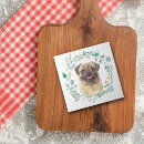 Recherche de chien carlin carreaux Portrait