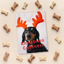 Recherche de humour noël cartes Chat