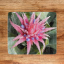 Recherche de vase planches à découper Floral