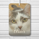 Recherche de chien désodorisants voiture Drôle