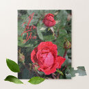 Recherche de rose rouge puzzles Fleurs