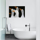 Recherche de canard blanc posters Animal