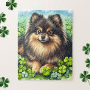 Recherche de pomeranian puzzles Mignon