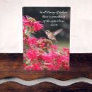 Recherche de colibri Fleurs roses