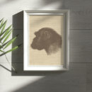 Recherche de animaux sauvages vintages posters Zoo