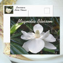Recherche de fleur magnolia cartes postales Toute personne