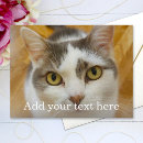 Recherche de nom cartes postales Tendance