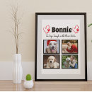 Recherche de de chien posters Pour animaux