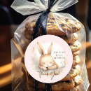 Recherche de bois rose autocollants Pour tous