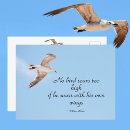 Recherche de mouette en vol cartes postales Mouettes