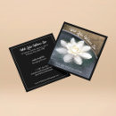 Recherche de lotus blanc cartes visite Noir