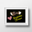 Recherche de terrier de yorkshire posters Noir