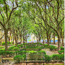 Recherche de charleston posters Histoire