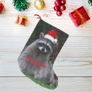 Recherche de raccoon chaussette de noël Pour tous