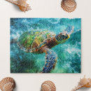 Recherche de natation puzzles Tortue de mer