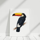 Recherche de exotique posters Toucan