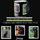Recherche de fourrure tasses Photo de l'animal