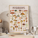 Recherche de champignon art Botanique