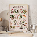 Recherche de herbier posters Vintage