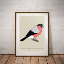 Recherche de bullfinch posters Nature