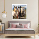 Recherche de équin photographie Nature