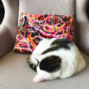 Recherche de funky coussins Gras