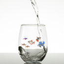 Recherche de aquarium Poisson aquarium