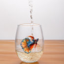 Recherche de poissons de betta Mignon