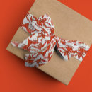 Recherche de poissons rubans Pour elle