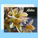 Recherche de aloha fleurs cartes postales Plumeria