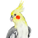 Recherche de parrot autocollants Oiseaux