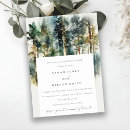 Recherche de bois de matin Paysage