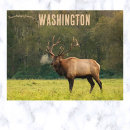 Recherche de wapiti cartes postales Washington